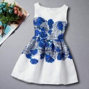 White with Blue Roses Printed Fancy Dress for Girl