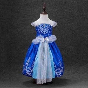 Disney Princess Cinderella Royal Blue Costumes