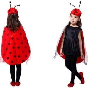Ladybug Costume